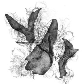 Полет бабочек