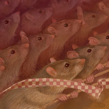 Крысы идут в бой