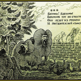 Про бабуинов