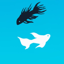 Работа на заказ. 