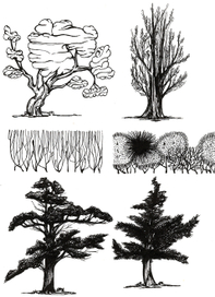 Разработка деревьев для макета 5