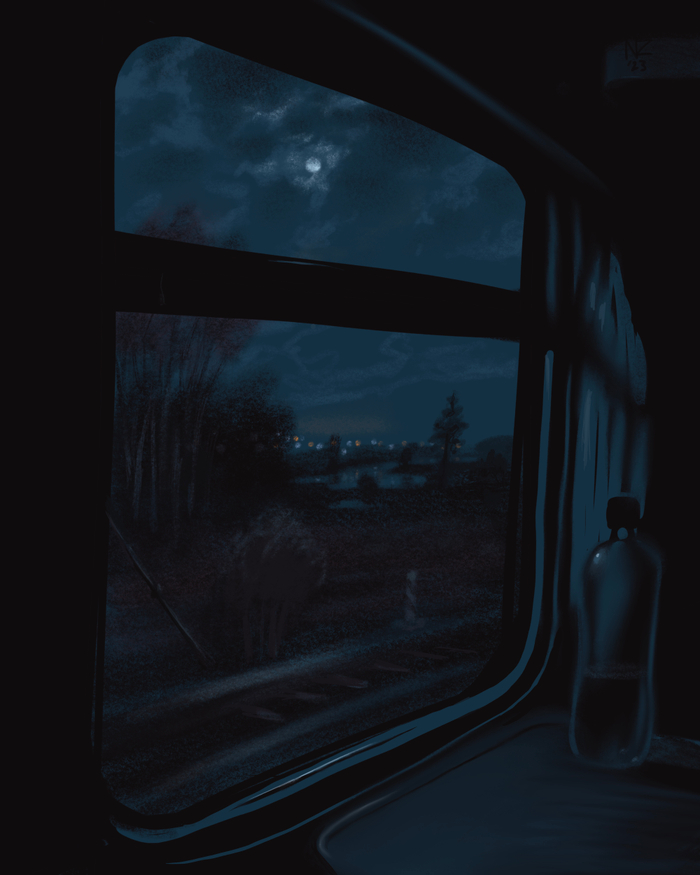 Путевое бодрствование