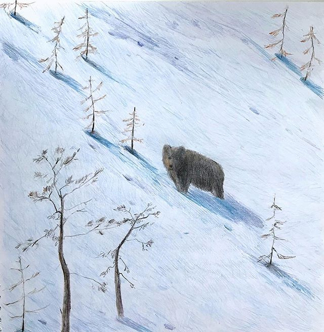 Снежные склоны