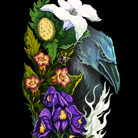 Ворон в ядах