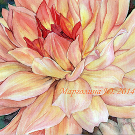 Георгин "в теплом". :) 