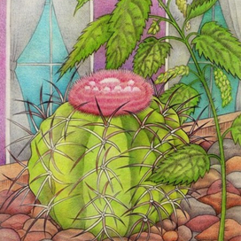 Кактус  и крапива