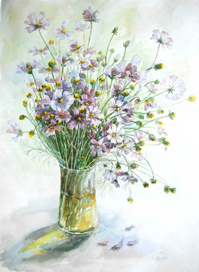 В ожидании лета... Космеи