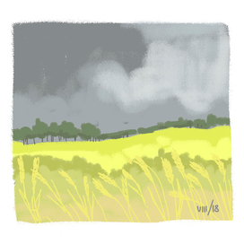 Поле в пасмурный день