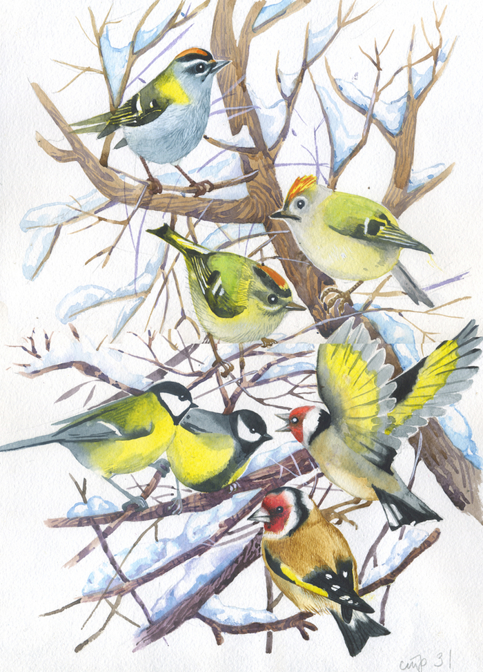 иллюстрация к книге ,,Ребятам о зверятах,,