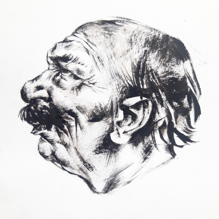 Голова мужчины в профиль