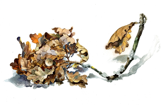 Дубовая ветка