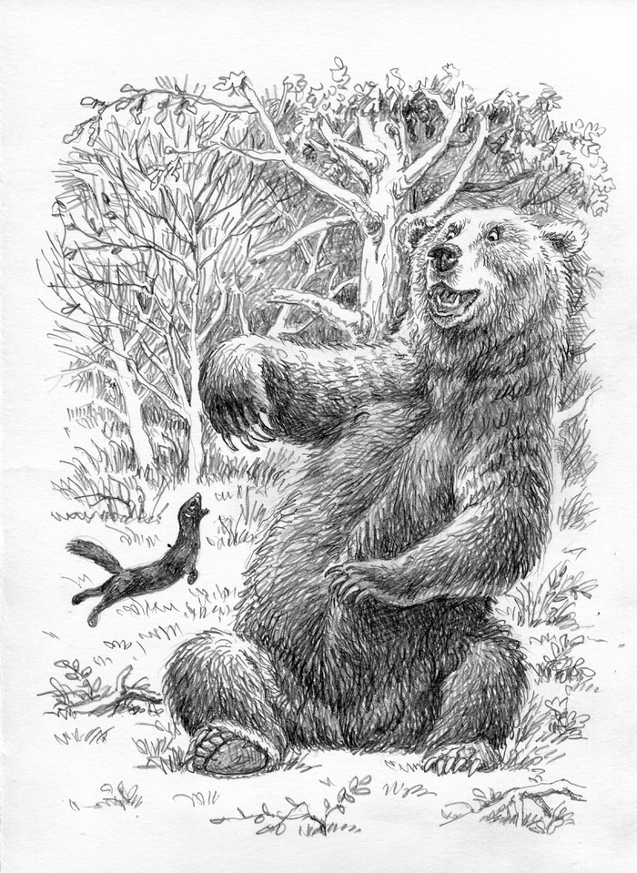 Ай моська...