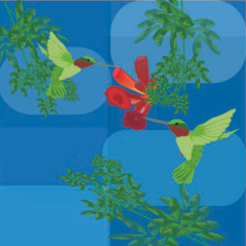 Композиция Колибри