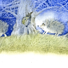 Иллюстрация к книге Л. Стружецкой "Ночь Жука Светлячка" 2