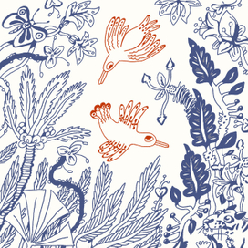 Южные птицы