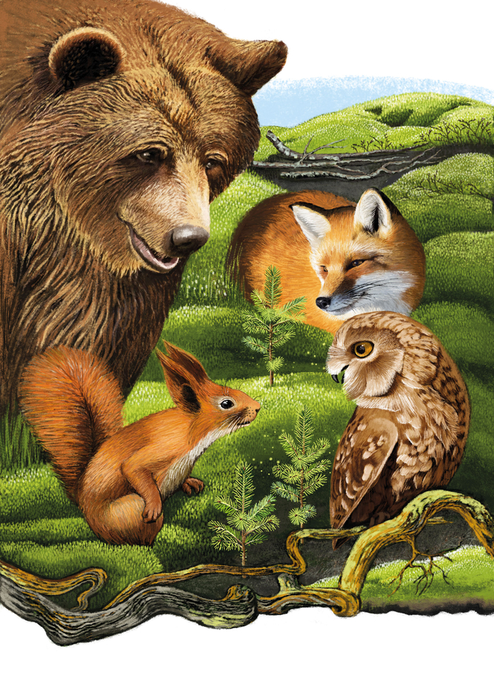 К сказке Ирины Гуриной "Белочкина победа"