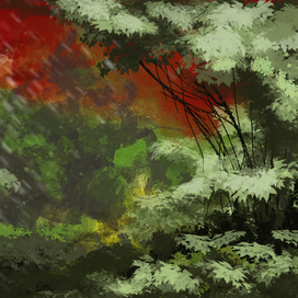 Снег в джунглях