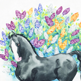 Марвари в сирени