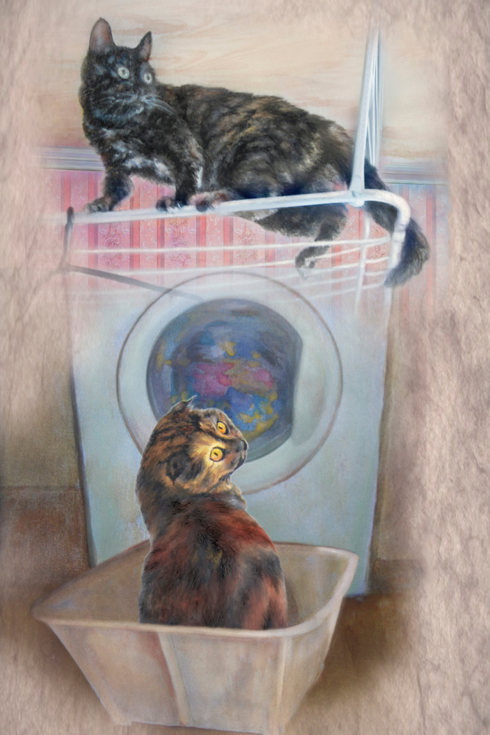 на хозяйстве