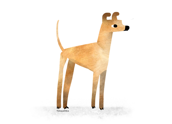 дворняжка 3