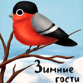 Зимний гость