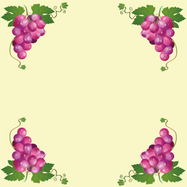 рамка из виногдрада
