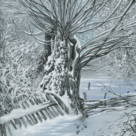 Старое дерево