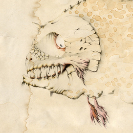 Чайная рыбка