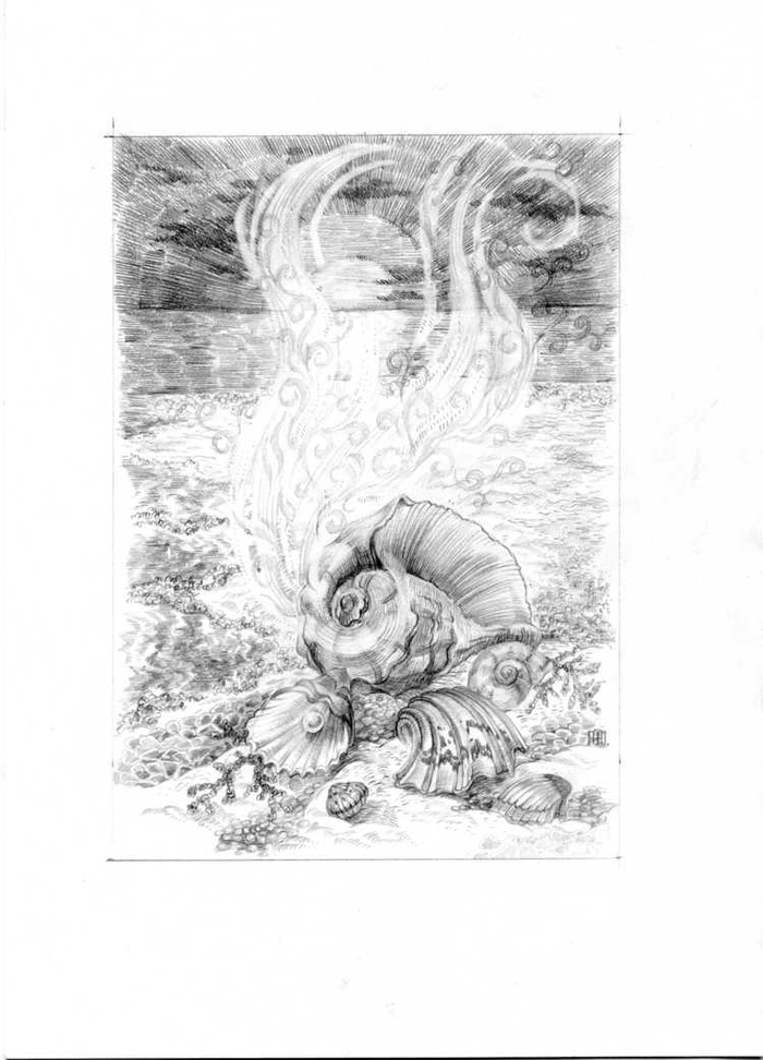 Песня ракушки