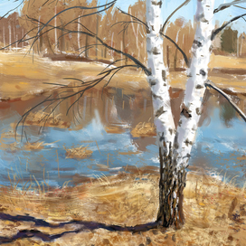 Берёзы у воды