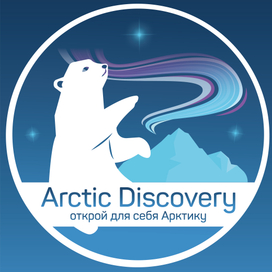 Arctic Discovery