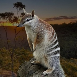 Дизайн сайта 