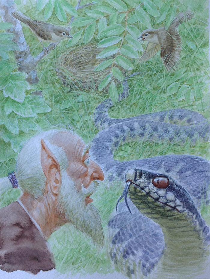 Вниз по причуди 22