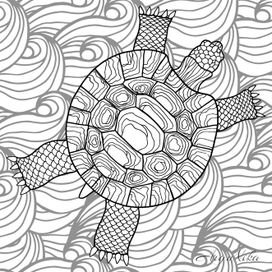 Черепаха. Раскраска
