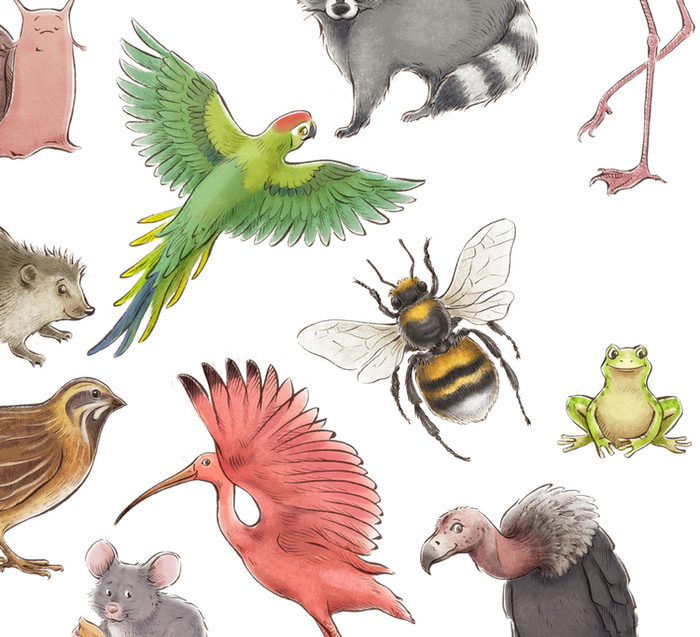 Алфавит (фрагмент)