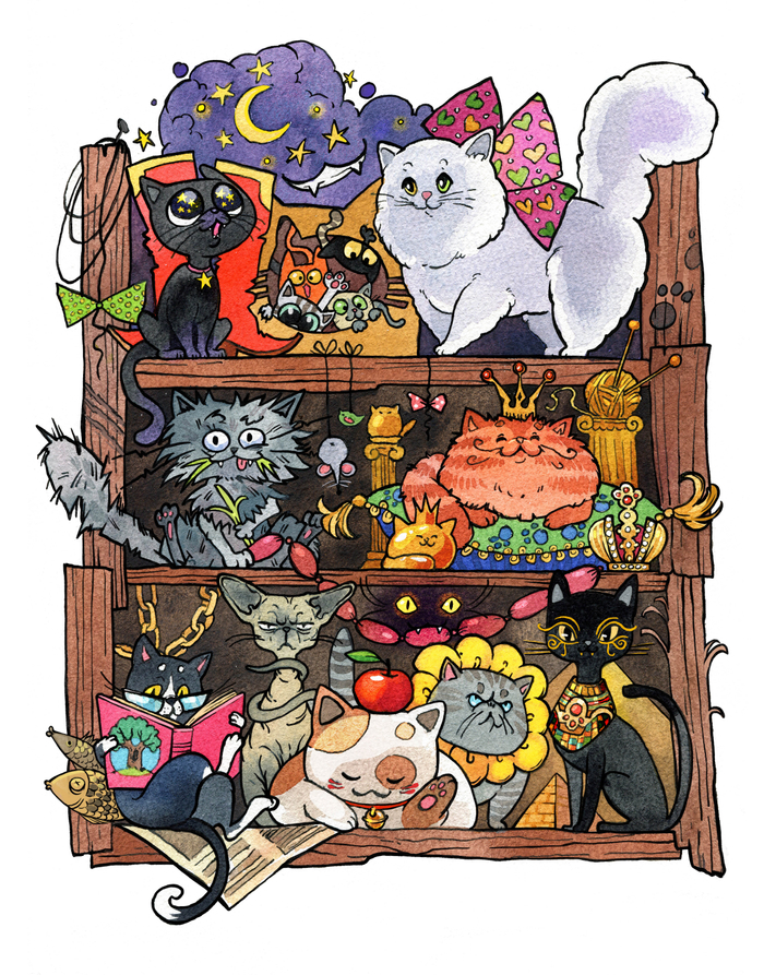 Котополочка