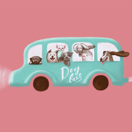 Собаки в окне