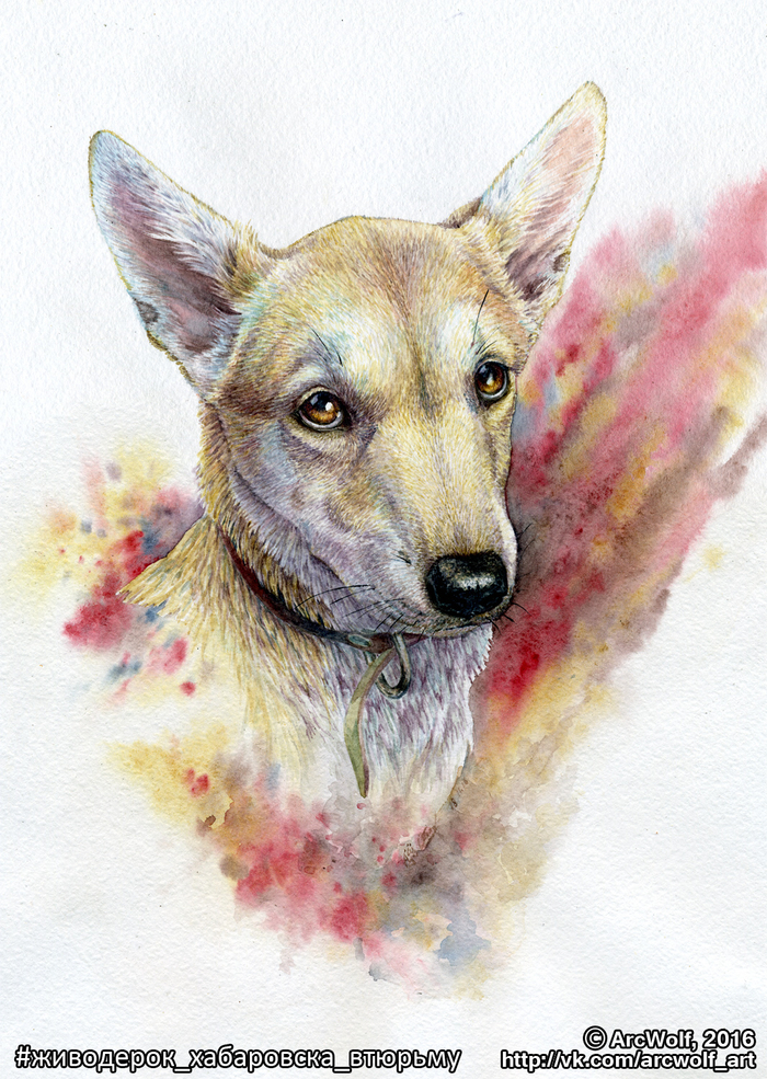 "Эту девочку звали Эмма. Она просто была... щенком"