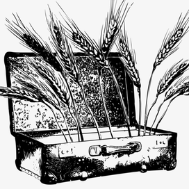 Иллюстрация для плейсментов