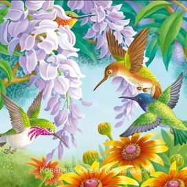 Колибри и глицинии