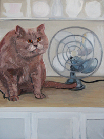 Кот на кухне. 