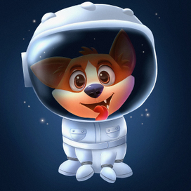 3 варианта корги