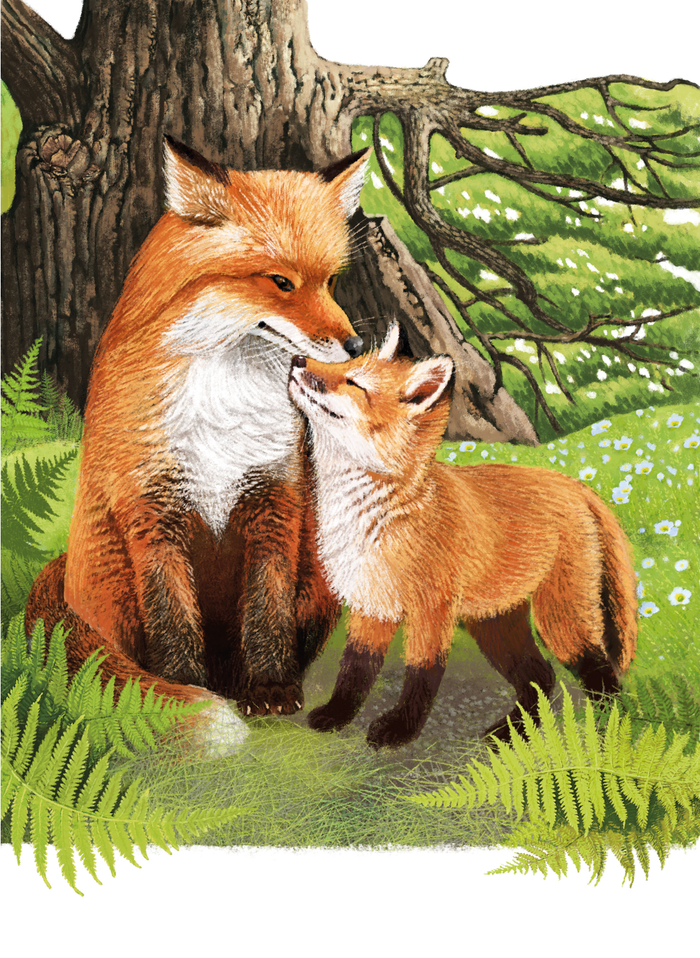 У старого дуба