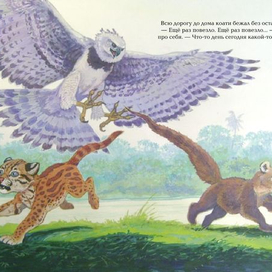 Коати и Жагуатирика 17 (дело близится к развязке)