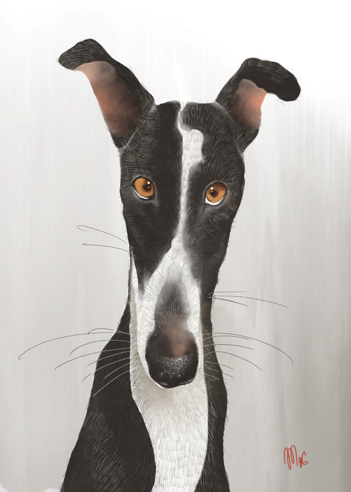 Без названия 