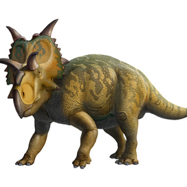 Персонажи Xenoceratops (динозавры)