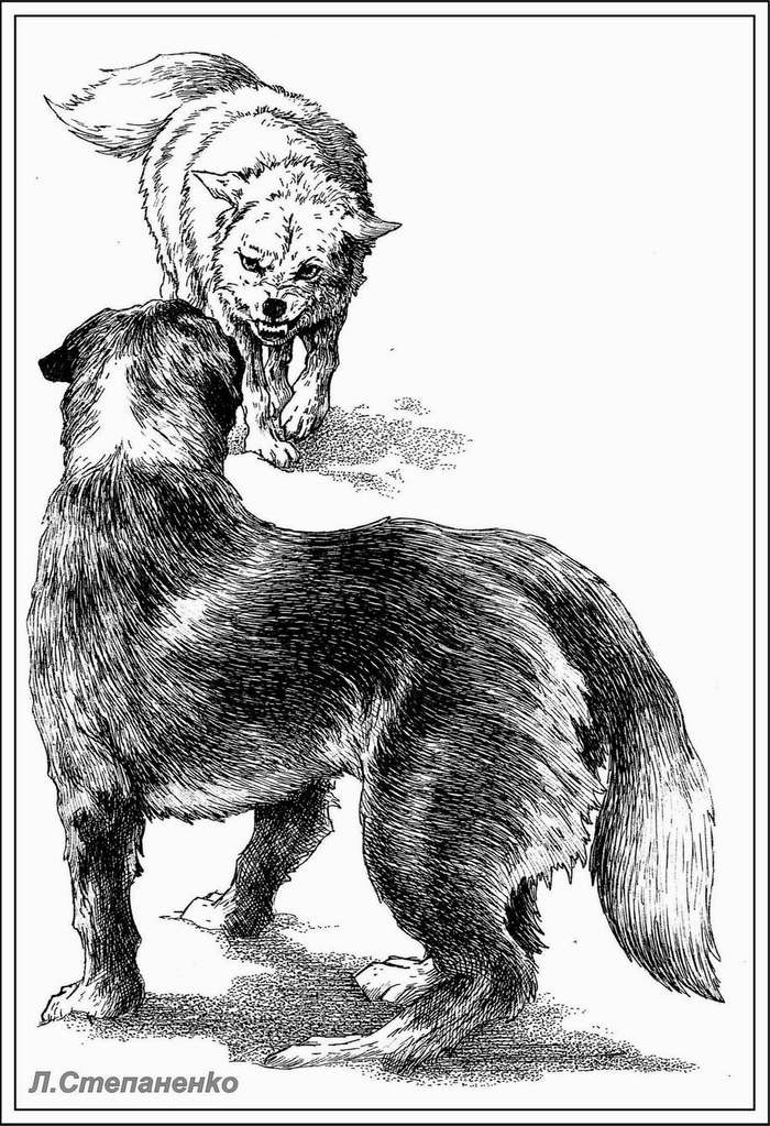 Зов предков. Шмуцтитул 3