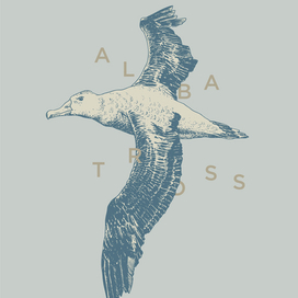 Albatross