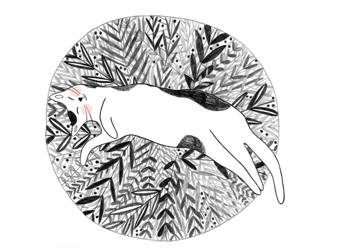 Из серии "50 seconds of a new day"