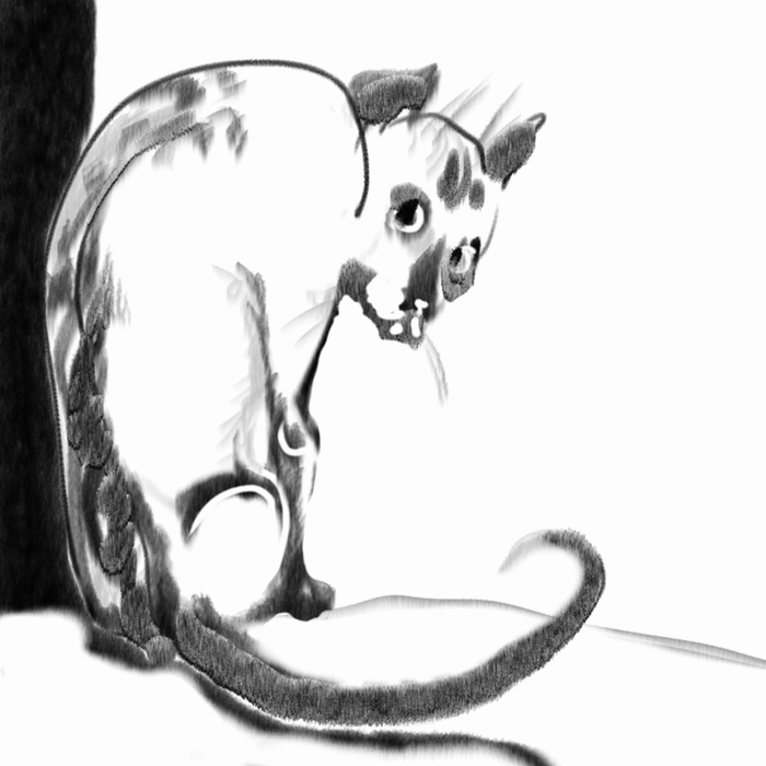 мой кот Улисс